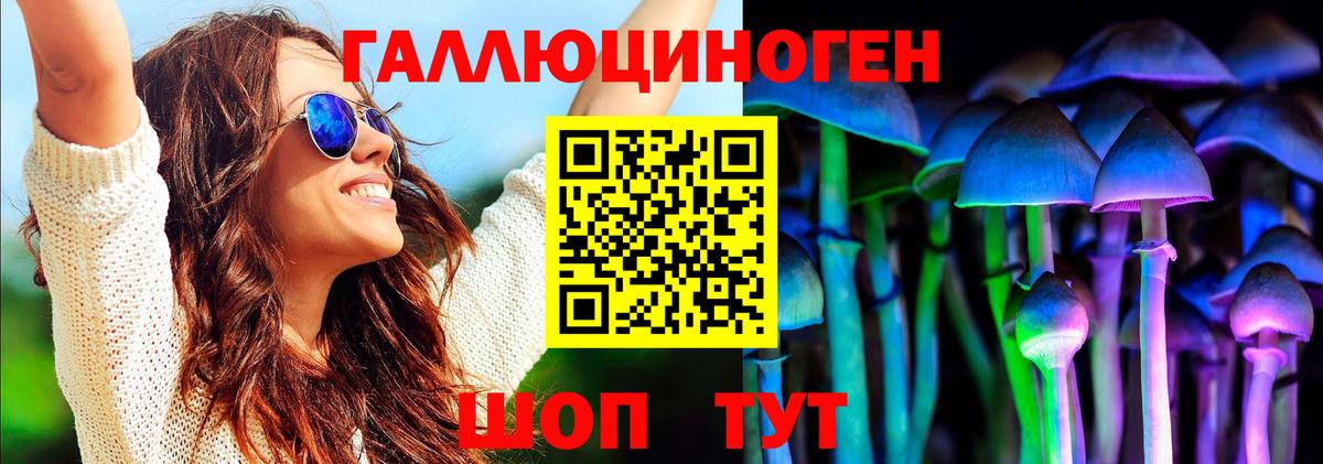 Галлюциногенные грибы Psilocybe  Вход с VPN  как найти   Черногорск  Псилоцибиновые грибы Psilocybine cubensis 